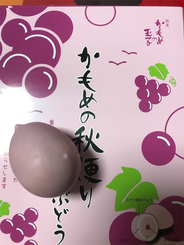f:id:hukusuke39:20201017053345j:image