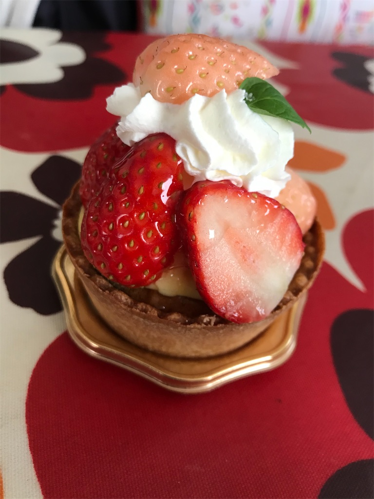 f:id:hukusuke39:20210117143551j:image