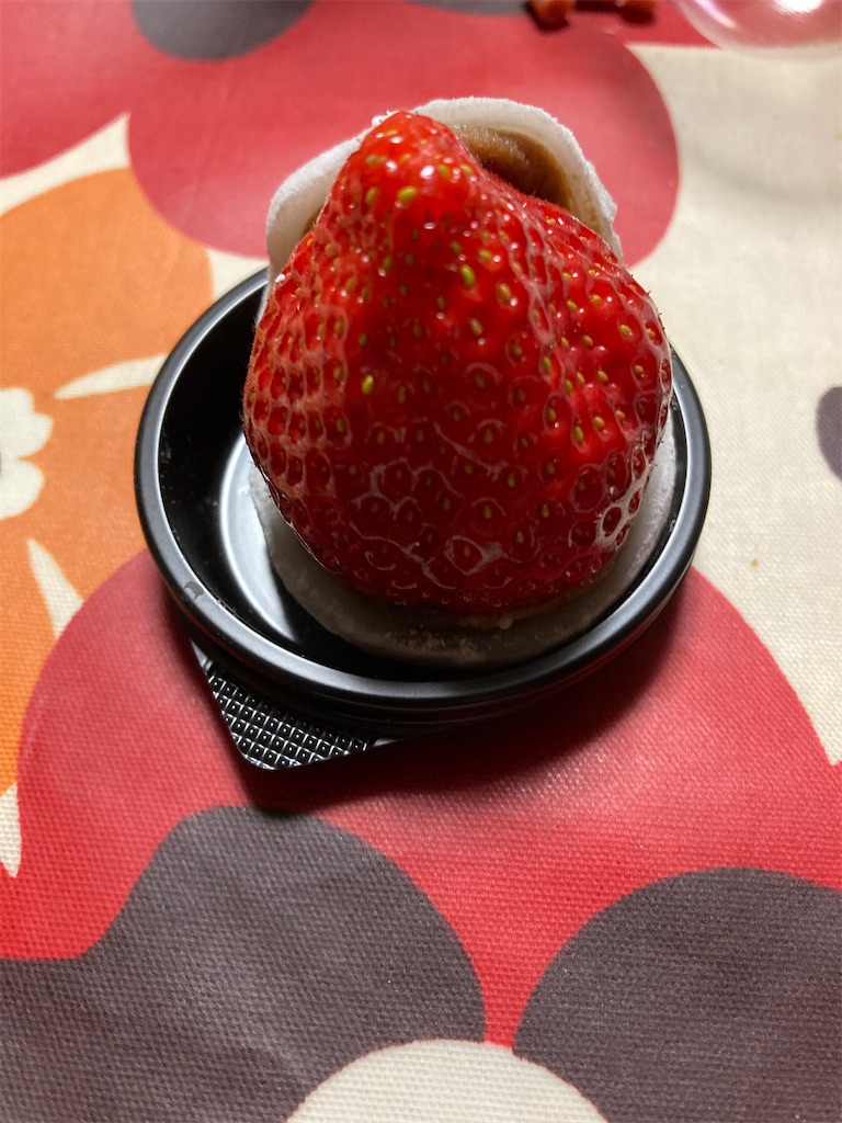 f:id:hukusuke39:20210217184753j:image