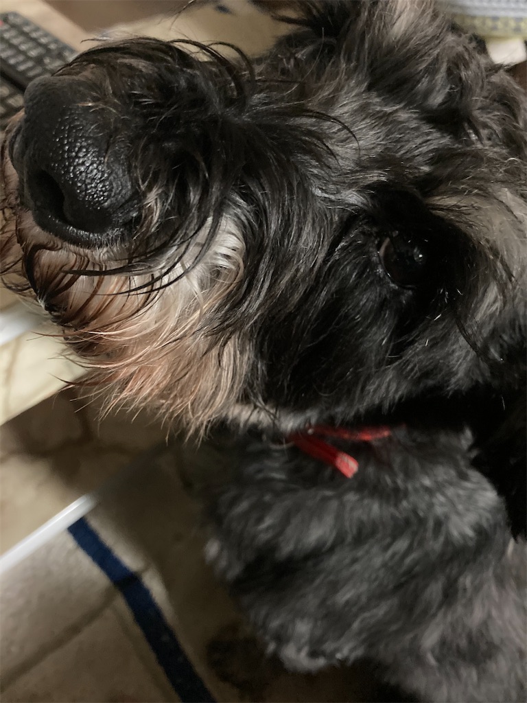 f:id:hukusuke39:20210312192753j:image