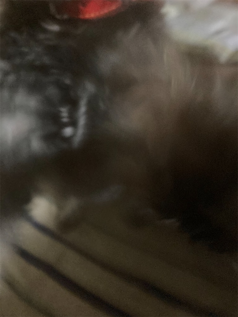 f:id:hukusuke39:20210321052434j:image