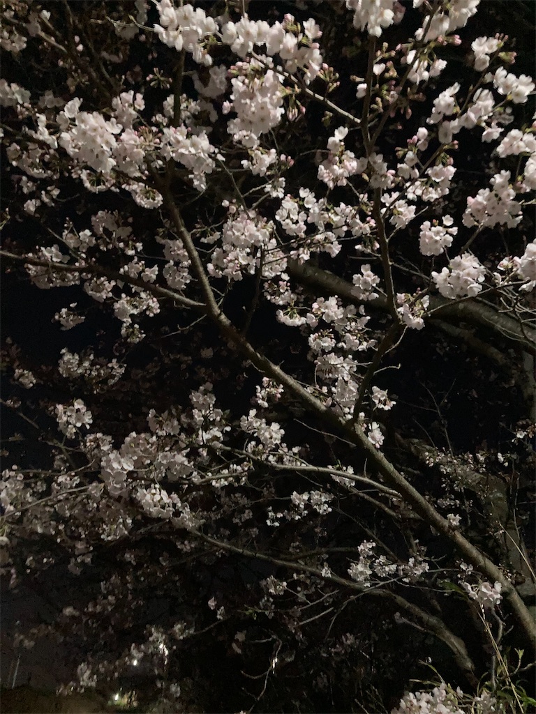 f:id:hukusuke39:20210323212323j:image