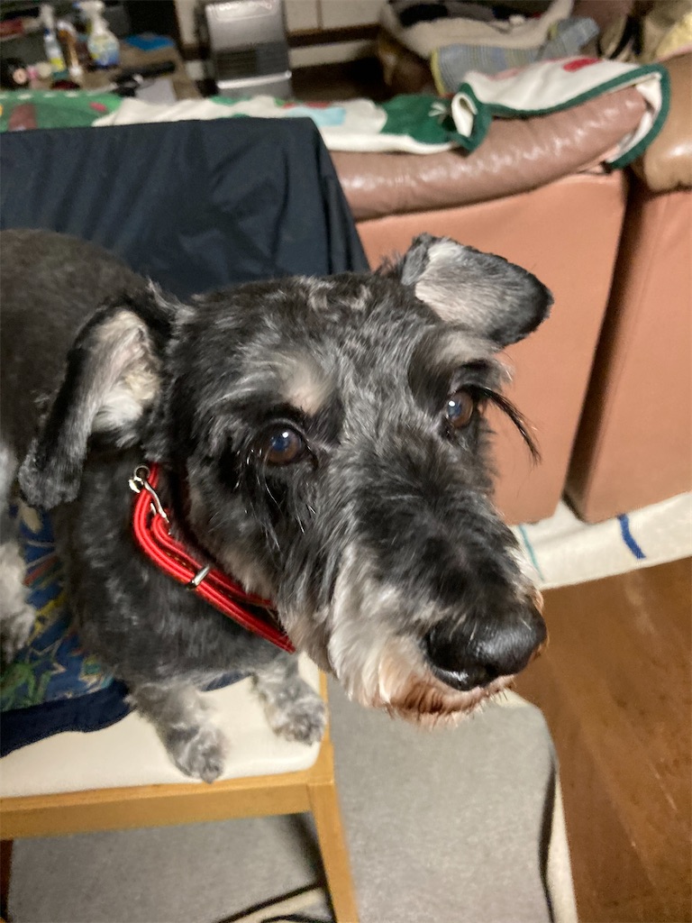 f:id:hukusuke39:20210426193107j:image