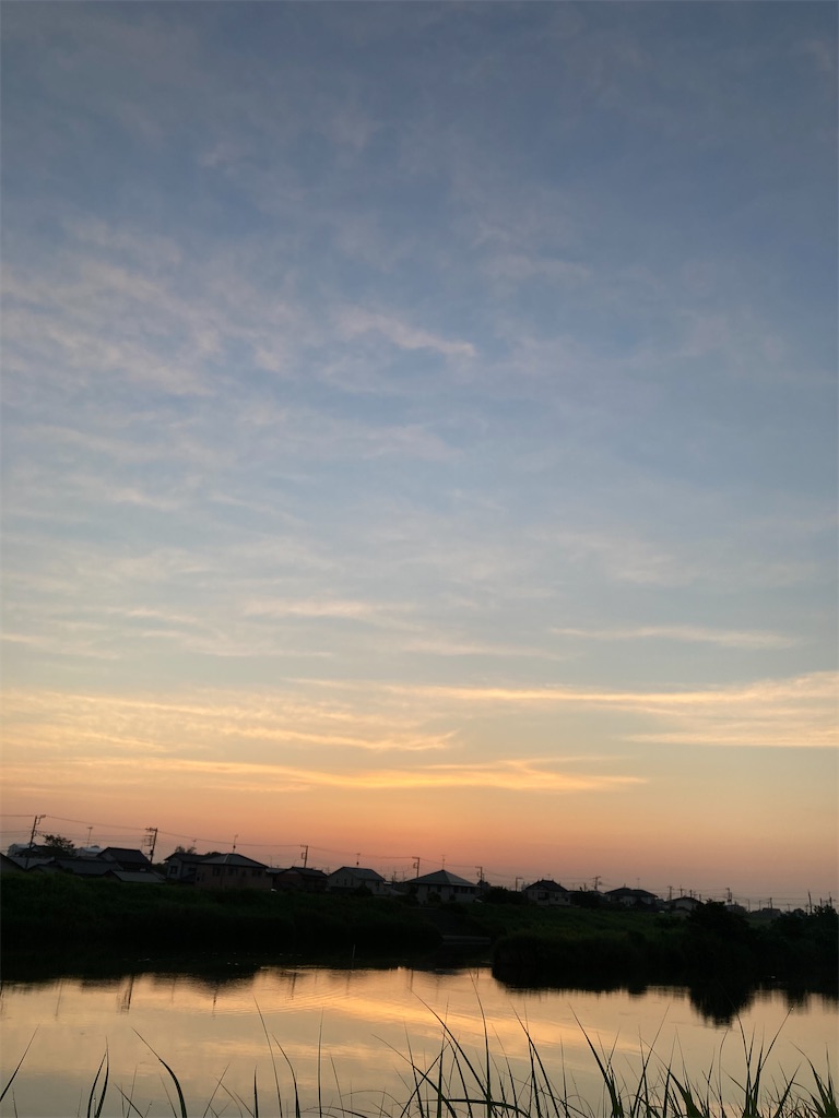 f:id:hukusuke39:20210611043555j:image