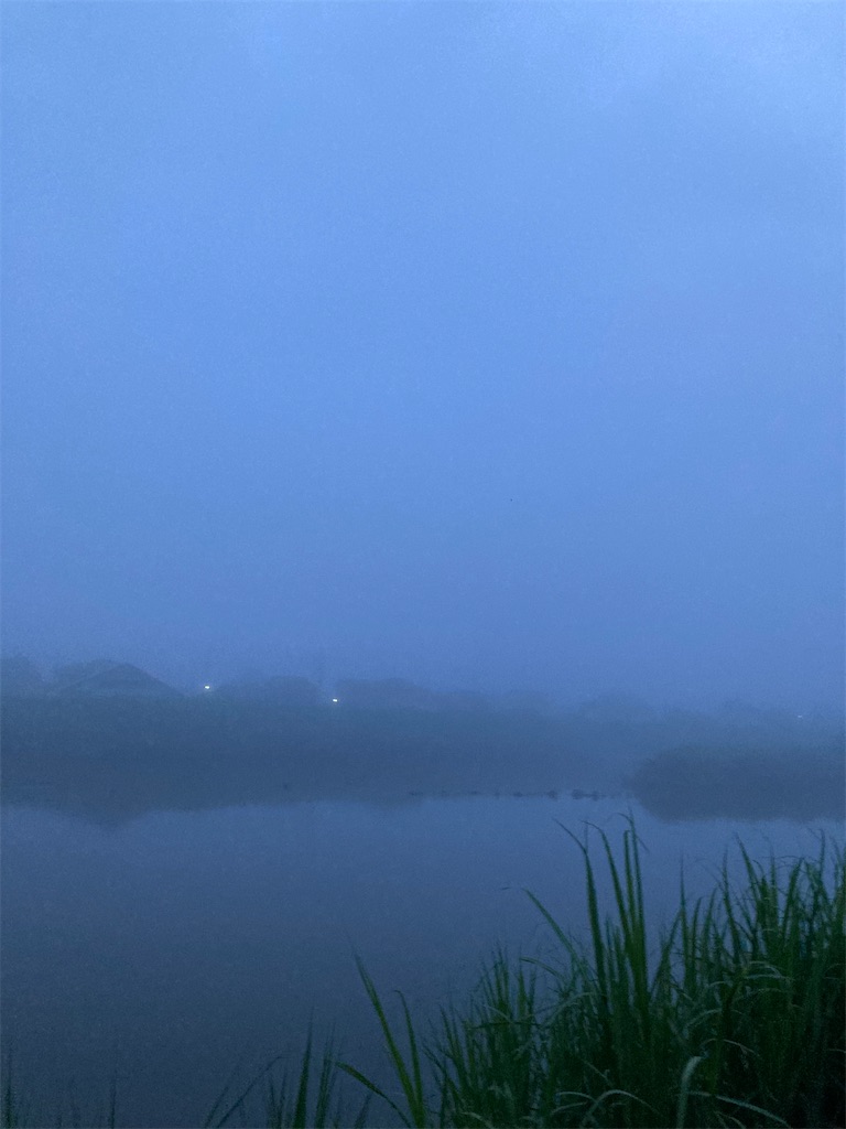 f:id:hukusuke39:20210706043151j:image