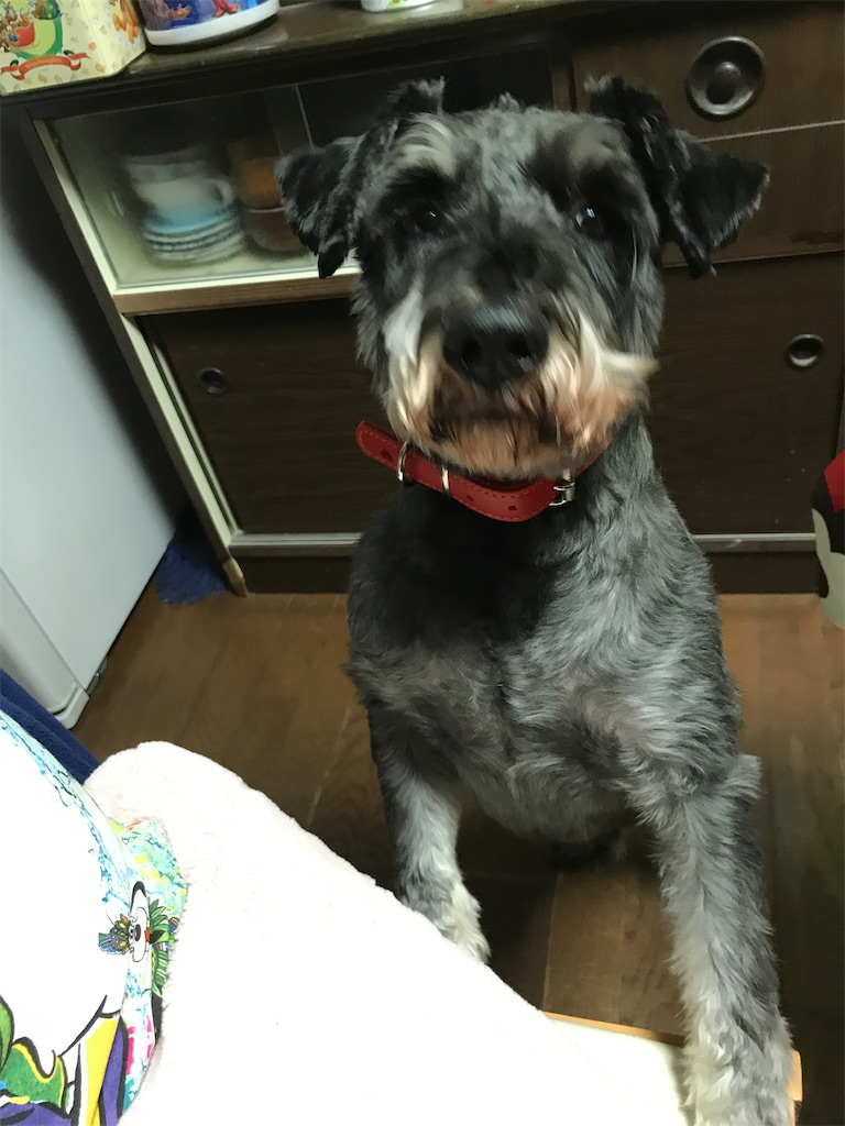 f:id:hukusuke39:20210917060219j:image f:id:hukusuke39:20210917060219j:image