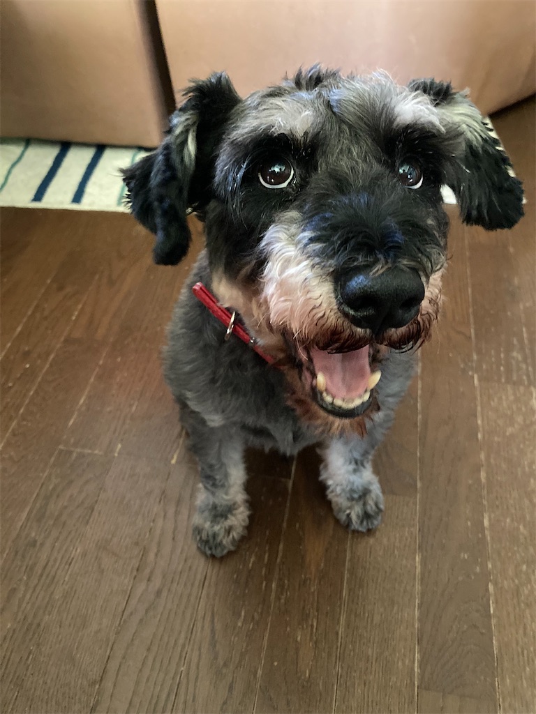 f:id:hukusuke39:20210919045754j:image f:id:hukusuke39:20210919045754j:image