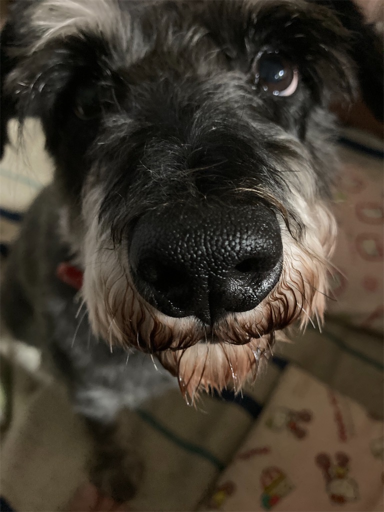 f:id:hukusuke39:20210920052502j:plain