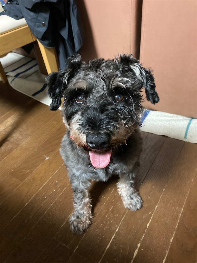 f:id:hukusuke39:20210926053953j:image f:id:hukusuke39:20210926053953j:image