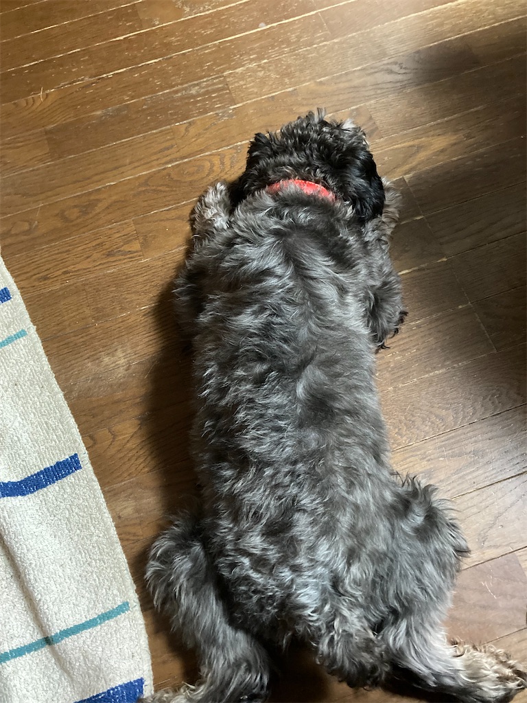 f:id:hukusuke39:20210926054011j:image f:id:hukusuke39:20210926054011j:image