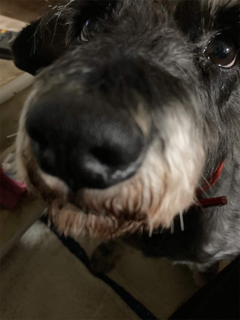 f:id:hukusuke39:20211007051722j:image f:id:hukusuke39:20211007051722j:image