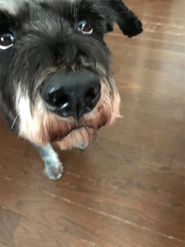 f:id:hukusuke39:20211007051756j:image f:id:hukusuke39:20211007051756j:image