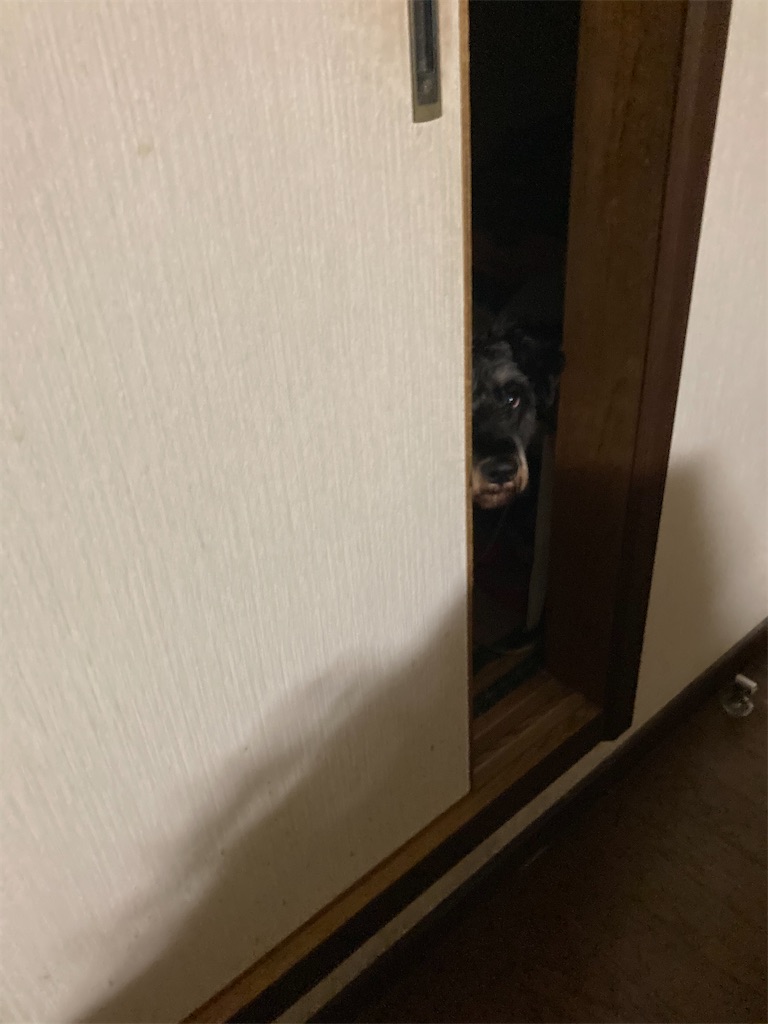 f:id:hukusuke39:20211127055203j:image