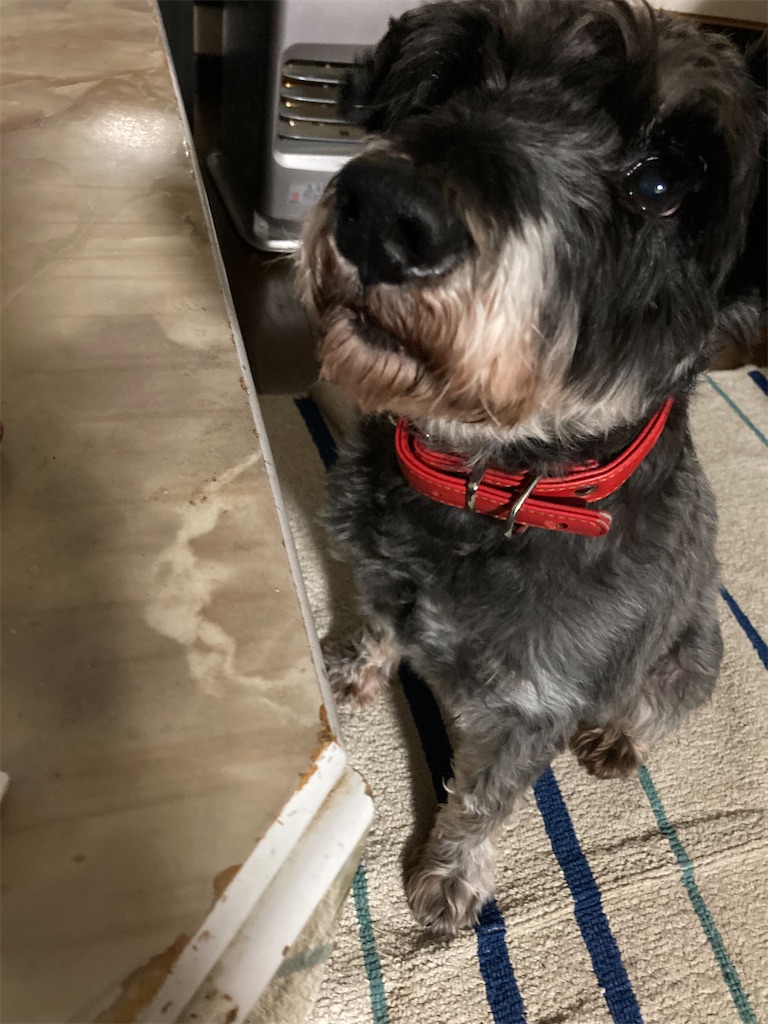 f:id:hukusuke39:20220127204852j:image