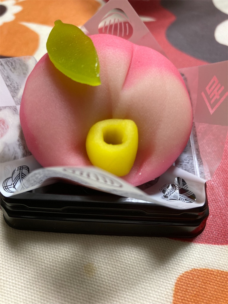 f:id:hukusuke39:20220214185905j:image