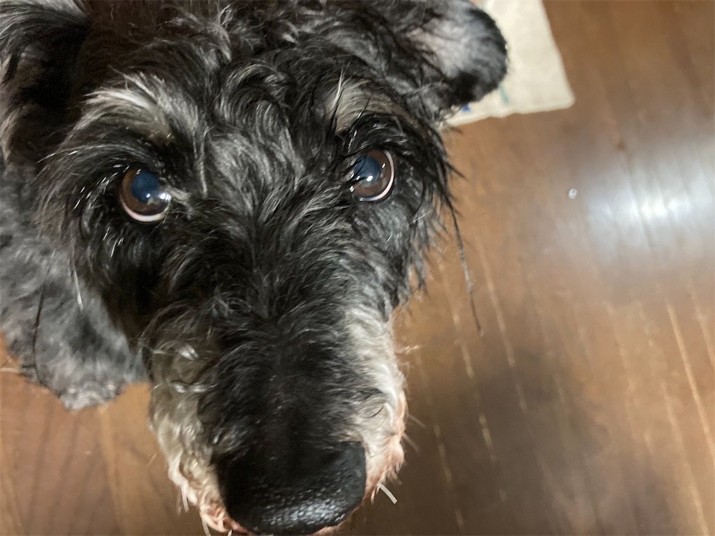 f:id:hukusuke39:20220422183757j:image
