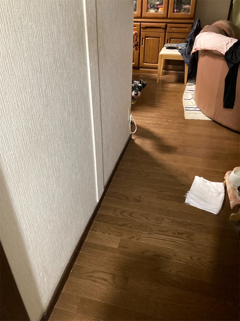 f:id:hukusuke39:20220511045551j:image