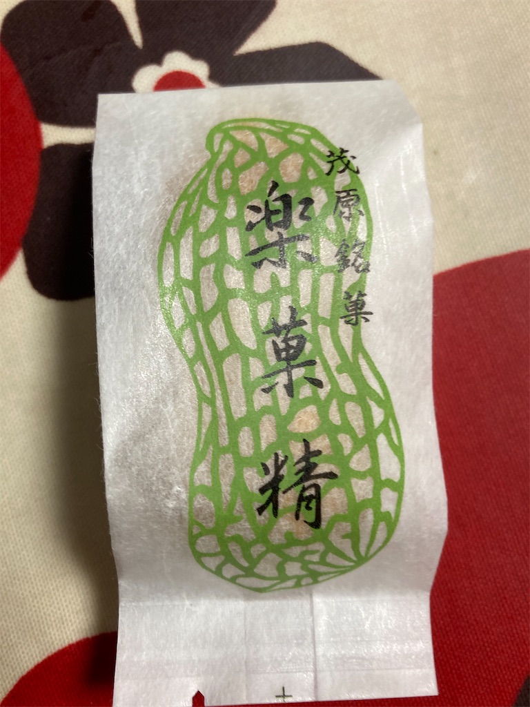 f:id:hukusuke39:20220531052302j:image