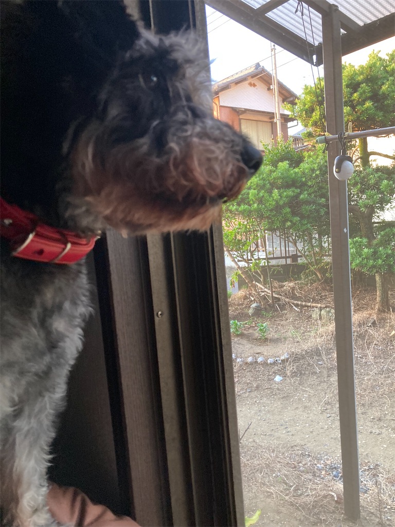 f:id:hukusuke39:20220710053352j:image