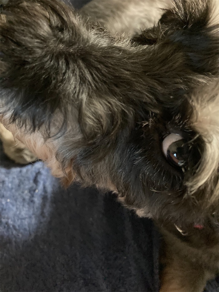 f:id:hukusuke39:20221130184745j:image f:id:hukusuke39:20221130184745j:image