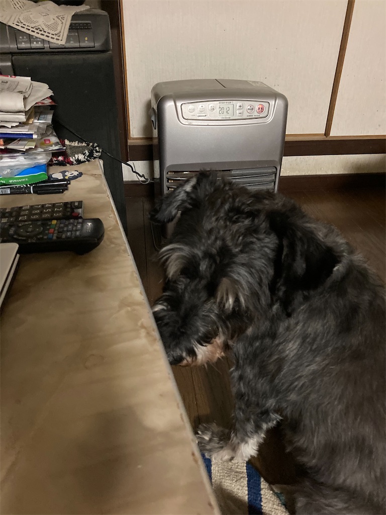 f:id:hukusuke39:20221226194228j:image