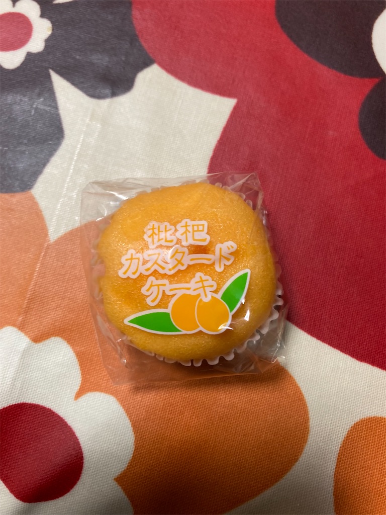f:id:hukusuke39:20230104183440j:image