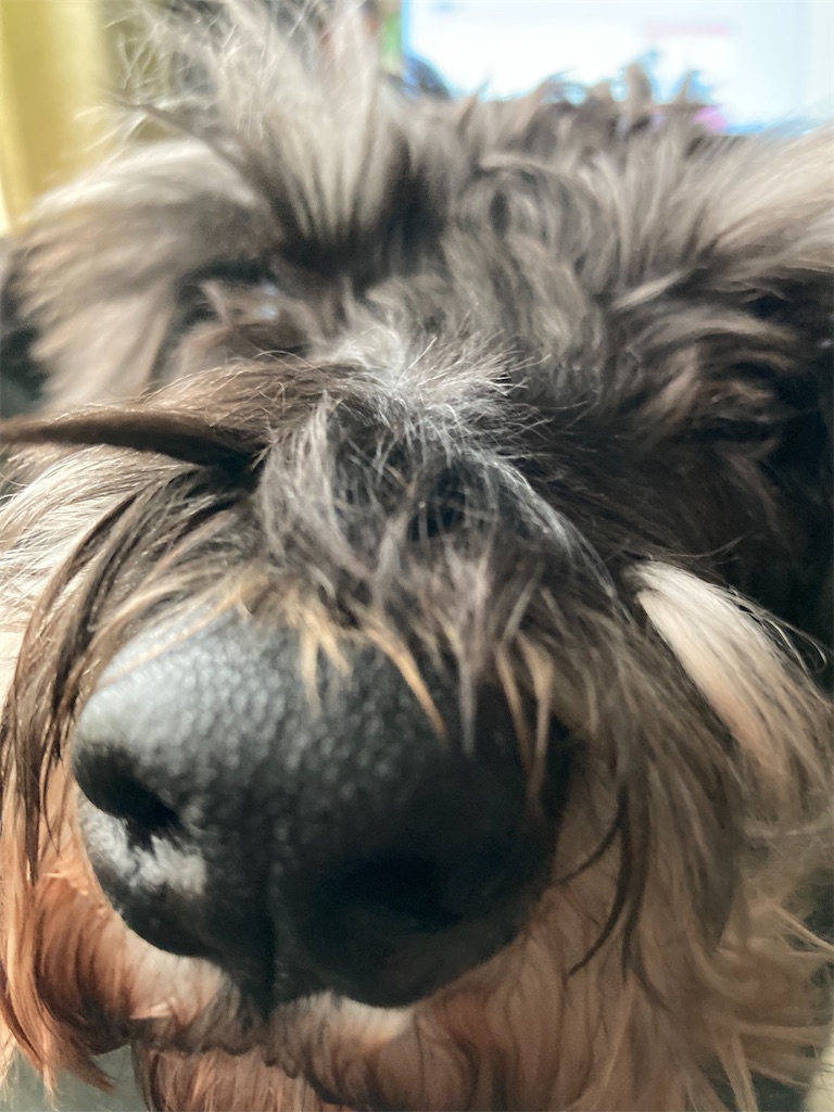 f:id:hukusuke39:20230116195820j:image