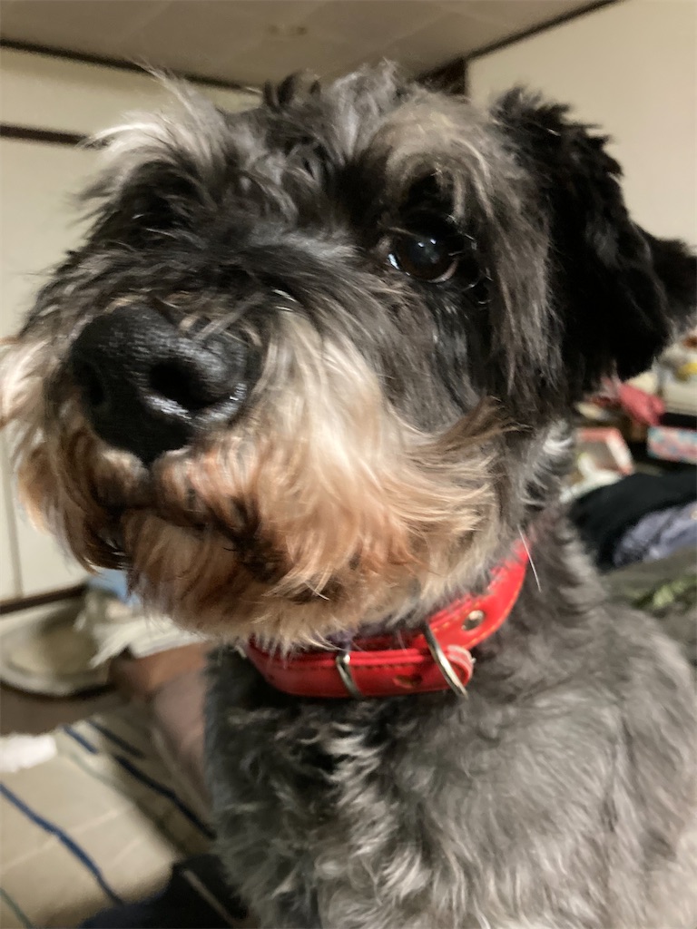 f:id:hukusuke39:20230122141808j:image