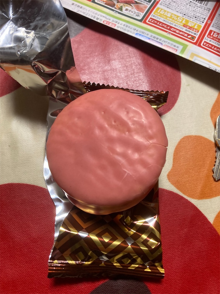 f:id:hukusuke39:20230125045601j:image