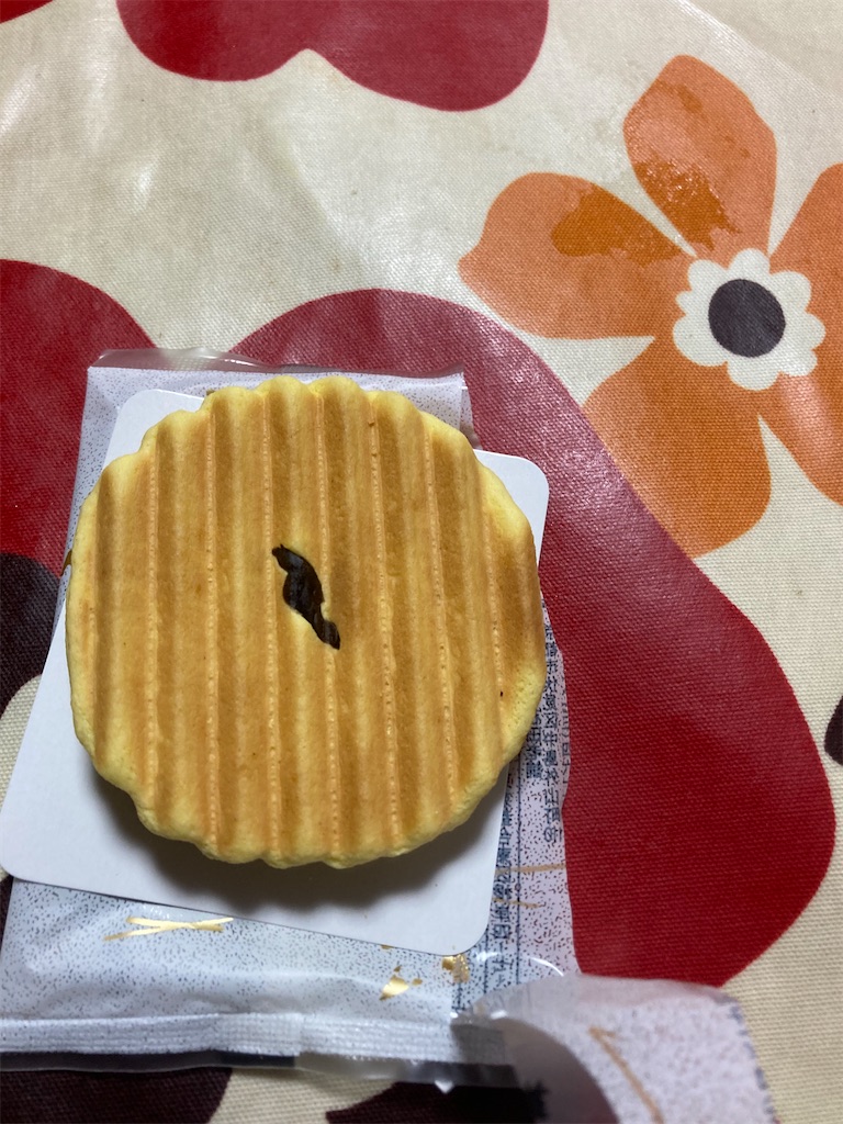 f:id:hukusuke39:20230429134400j:image