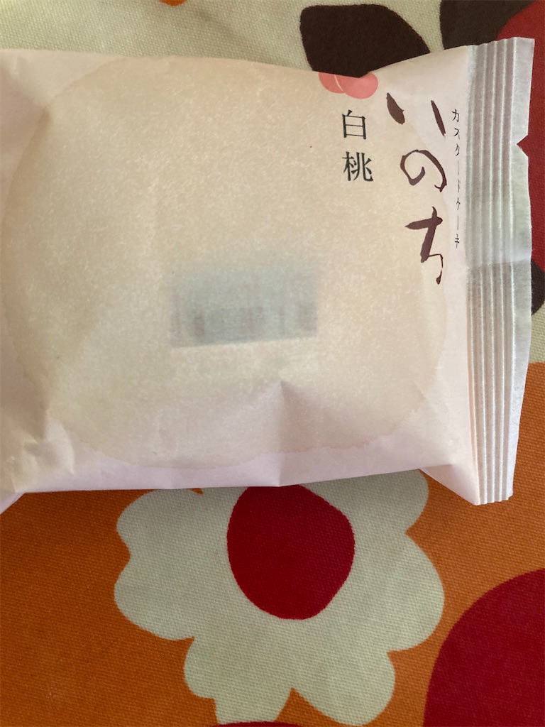 f:id:hukusuke39:20230716202034j:image