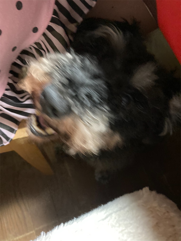 f:id:hukusuke39:20230907192101j:image
