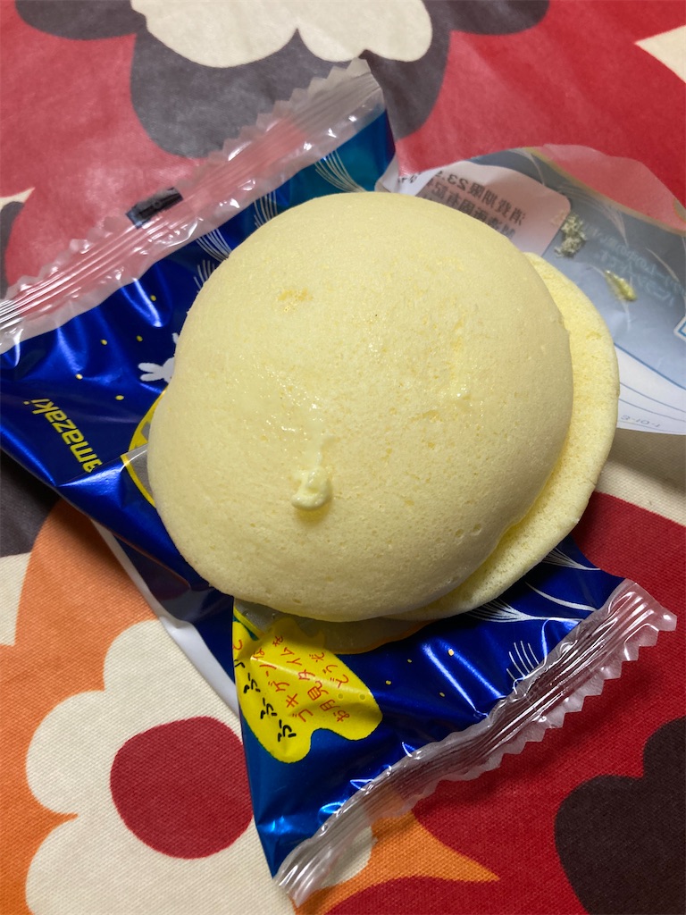 f:id:hukusuke39:20230919190952j:image