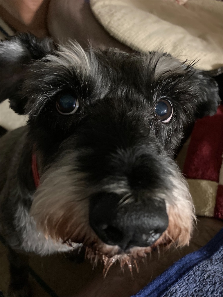 f:id:hukusuke39:20231003053120j:image