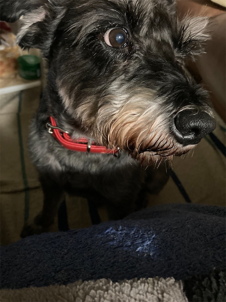 f:id:hukusuke39:20231020192107j:image f:id:hukusuke39:20231020192107j:image