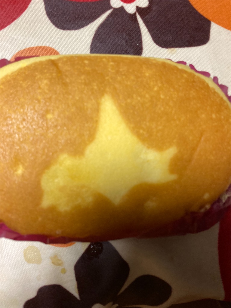 f:id:hukusuke39:20231029054145j:image