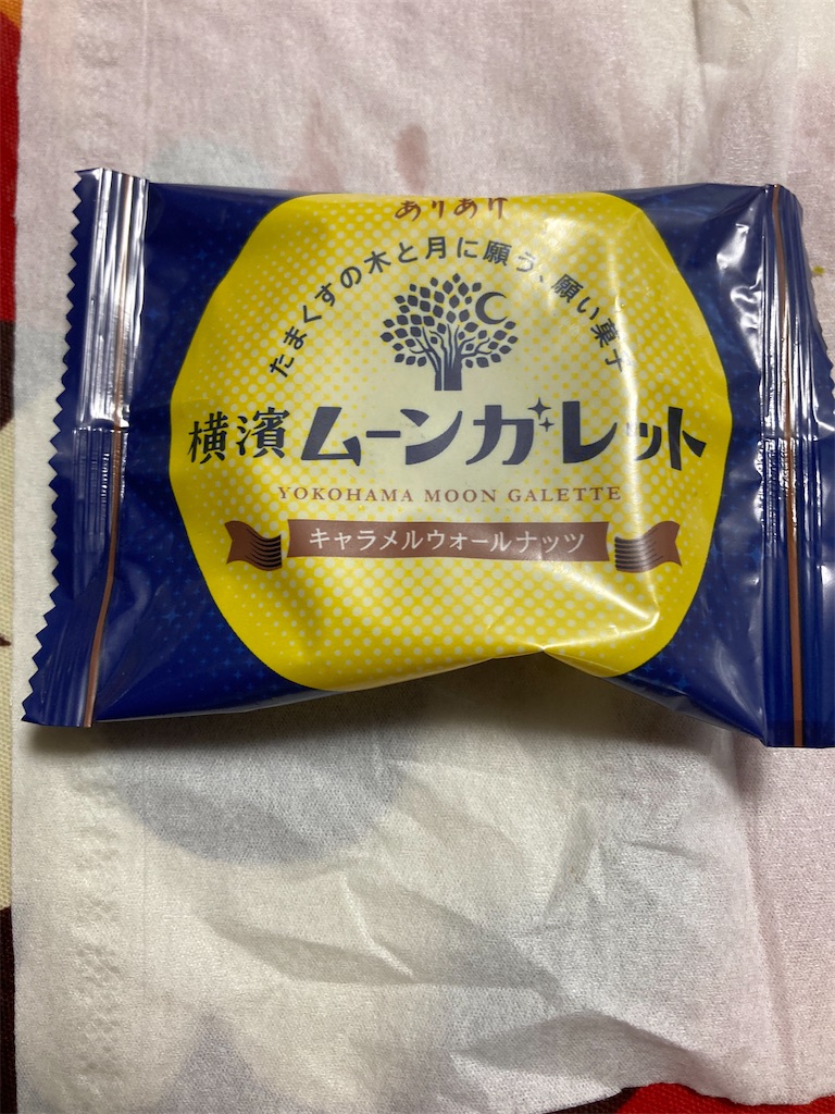 f:id:hukusuke39:20231031190101j:image