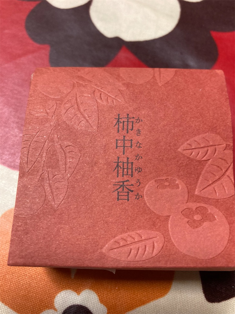 f:id:hukusuke39:20231217163405j:image