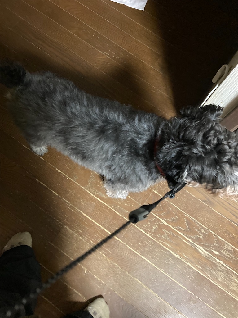 f:id:hukusuke39:20240131195548j:image f:id:hukusuke39:20240131195548j:image