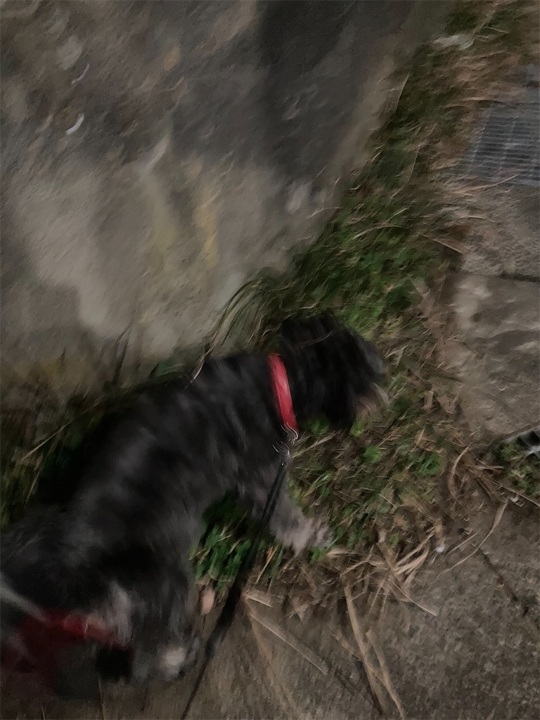 f:id:hukusuke39:20240221044448j:image