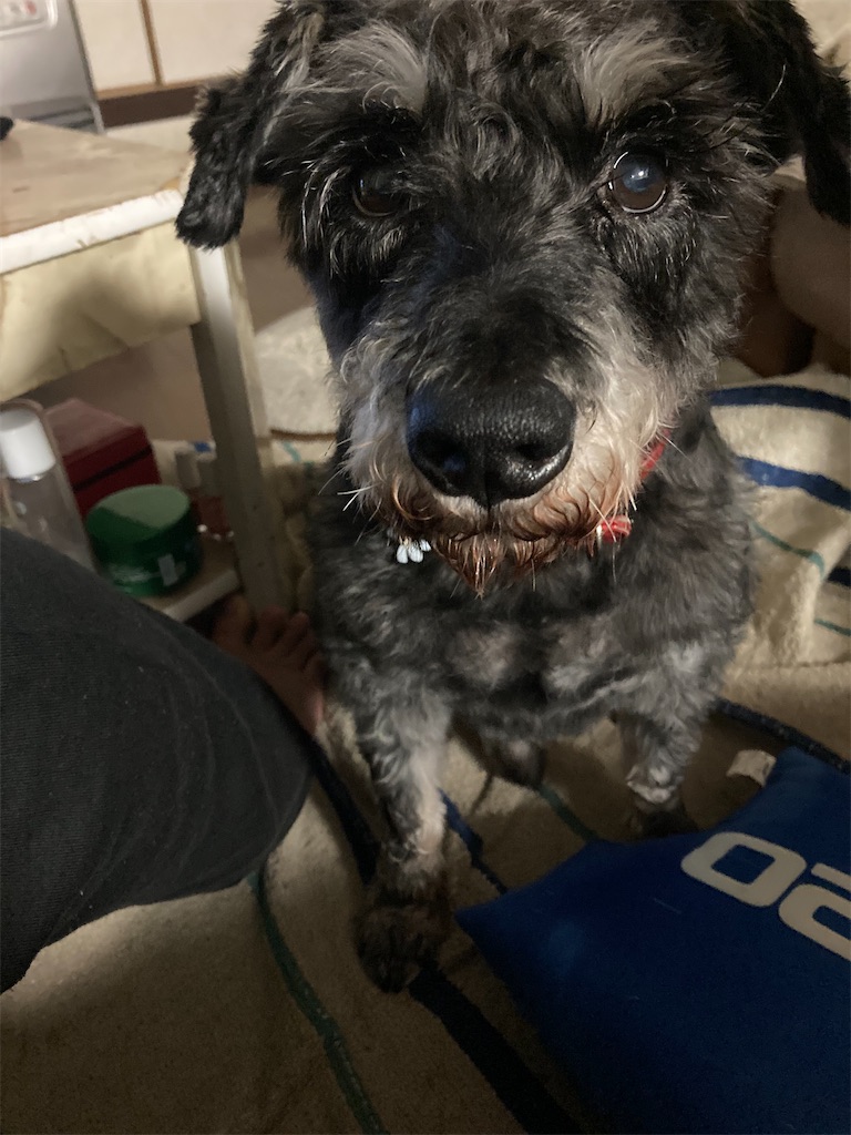 f:id:hukusuke39:20240429114229j:image f:id:hukusuke39:20240429114229j:image