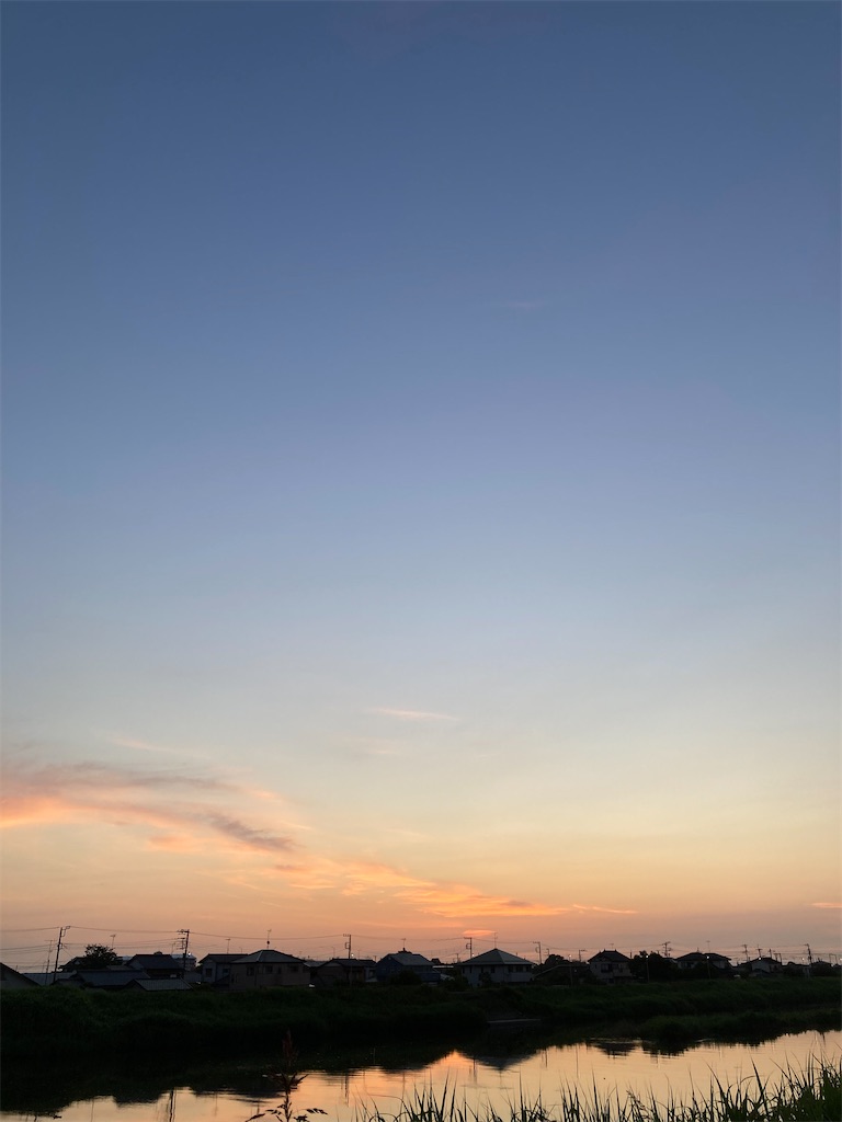 f:id:hukusuke39:20240606050040j:image