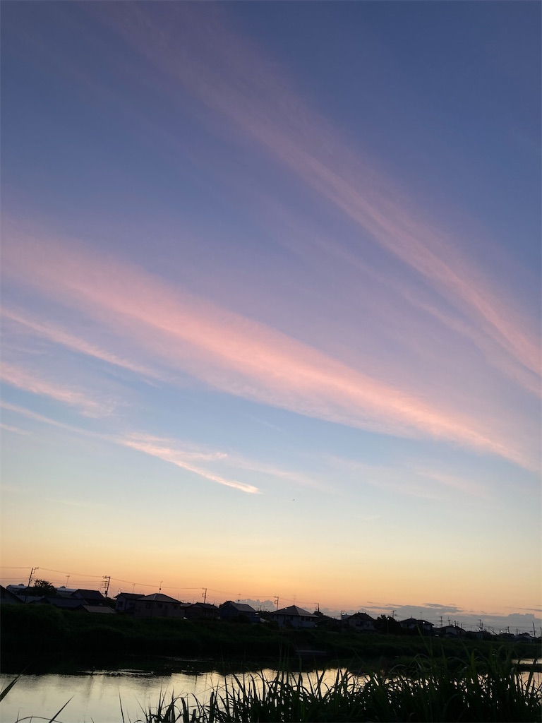 f:id:hukusuke39:20240608045147j:image