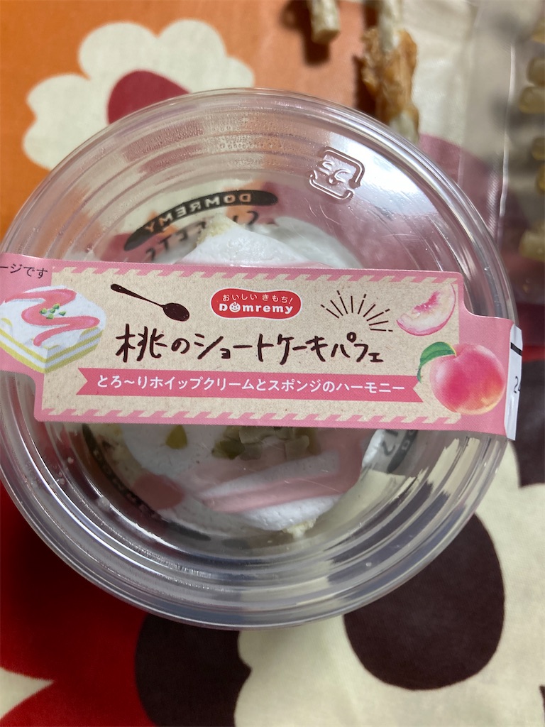 f:id:hukusuke39:20240624202559j:image
