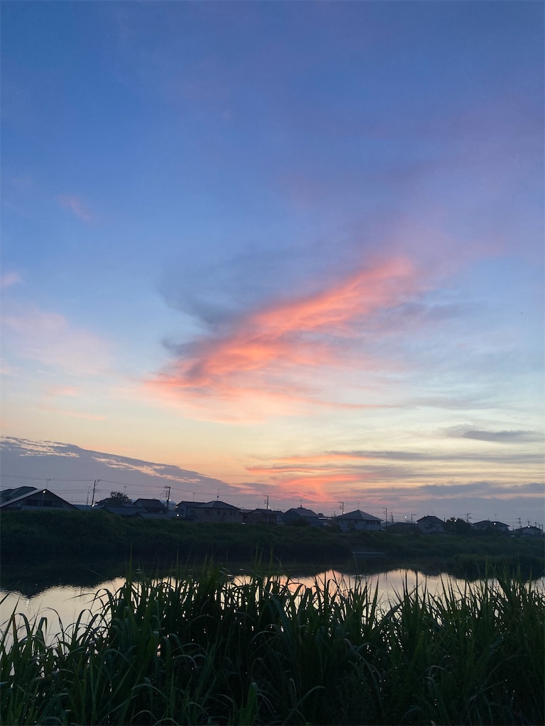 f:id:hukusuke39:20240709044502j:image