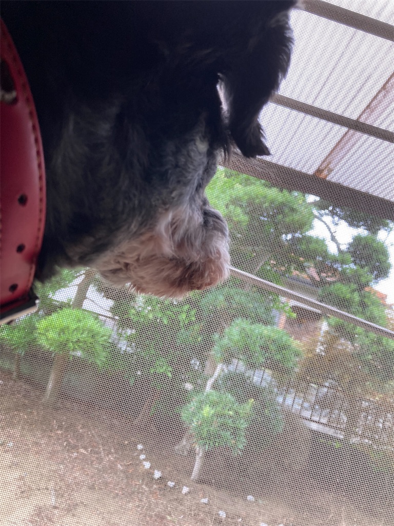 f:id:hukusuke39:20240715130118j:image