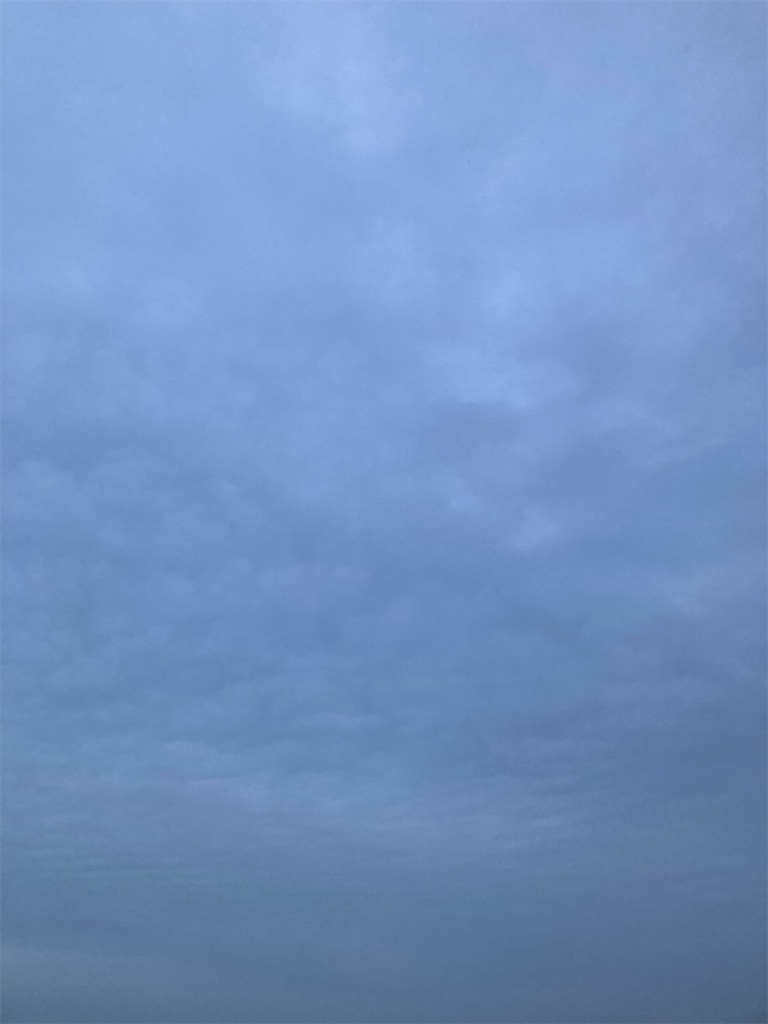 f:id:hukusuke39:20240716052356j:image