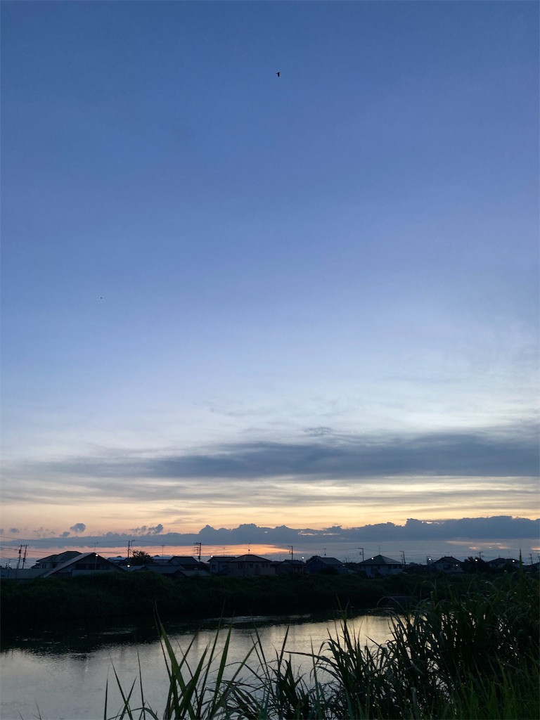 f:id:hukusuke39:20240811052200j:image