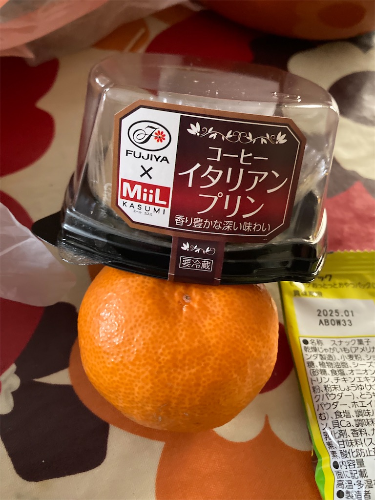 f:id:hukusuke39:20241231052121j:image