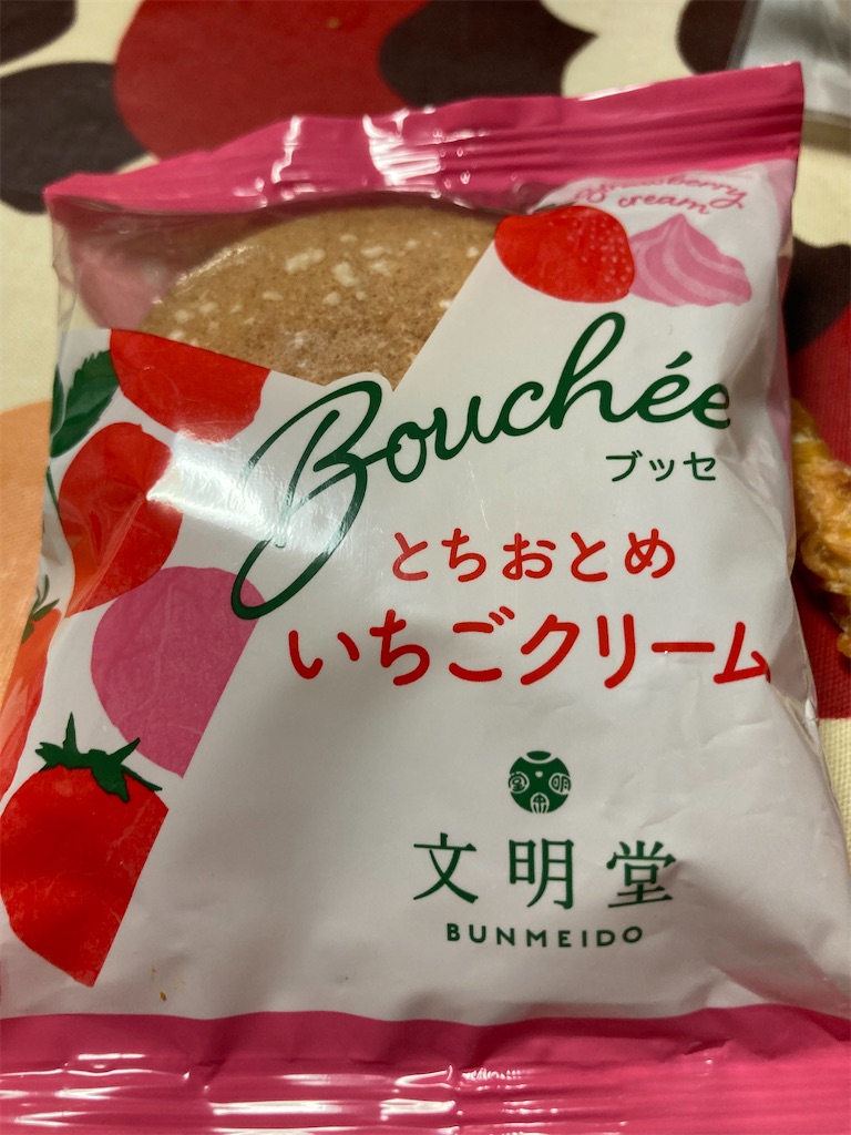 f:id:hukusuke39:20250202181002j:image